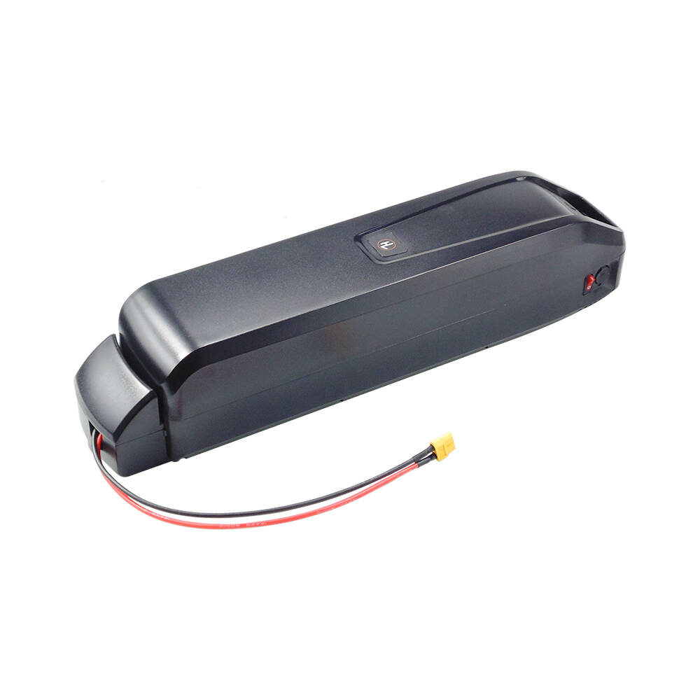 Ebike Battery 48V 20Ah Hailong - Новый аккумулятор Hailong Ebike S20 Pro