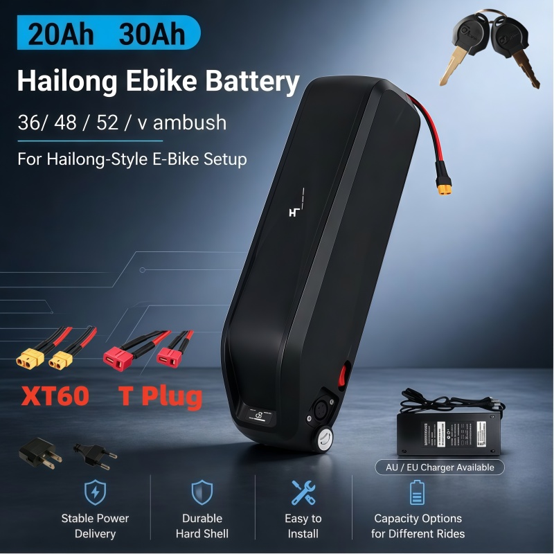 Универсальная батарея Hailong, – обзор и цена Ebike Battery 48V 20Ah Hailong