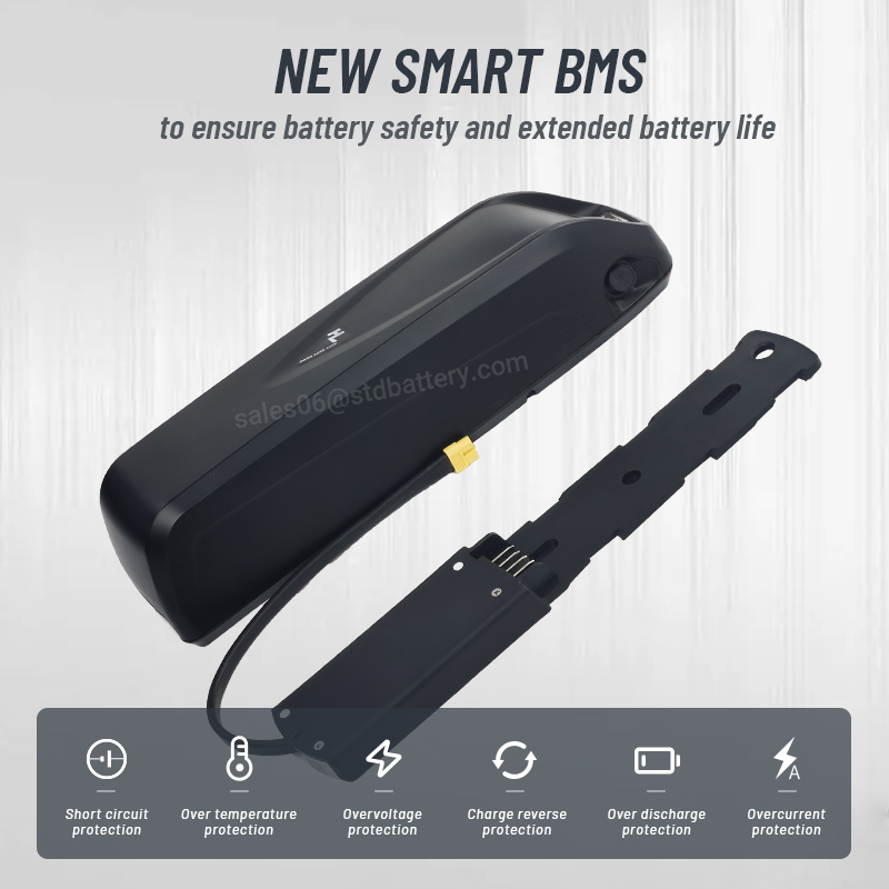 Аккумулятор Hailong для электр – обзор и цена Ebike Battery 48V 20Ah Hailong